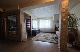 Casa P+M de vanzare, 215 mp, zona Lucian Blaga Satu Mare