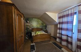 Casa P+M de vanzare, 215 mp, zona Lucian Blaga Satu Mare