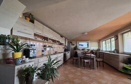 Casa P+M de vanzare, 215 mp, zona Lucian Blaga Satu Mare