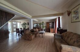 Casa P+M de vanzare, 215 mp, zona Lucian Blaga Satu Mare