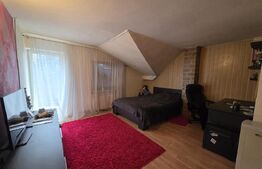 Casa P+M de vanzare, 215 mp, zona Lucian Blaga Satu Mare