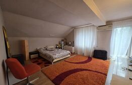 Casa P+M de vanzare, 215 mp, zona Lucian Blaga Satu Mare