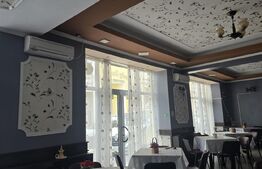 Spatiu comercial 210 mp - Ultracentral