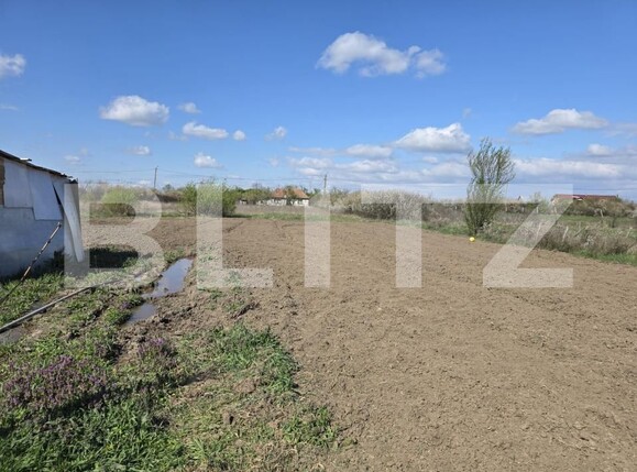 Teren de vânzare Lucian Blaga - 192606TV | BLITZ Satu Mare | Poza1