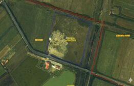 Teren intravilan 36.200 mp în zona Odoreu – oportunitate investiție 