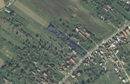 Teren intravilan de vanzare, 34 ari - Viile Satu Mare