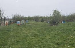 Spatiu industrial Hala 106 mp, 5700 mp Teren- Livada