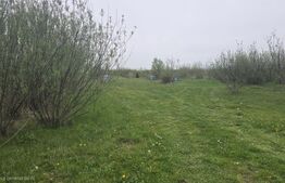 Spatiu industrial Hala 106 mp, 5700 mp Teren- Livada