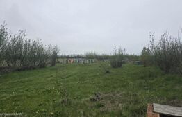 Spatiu industrial Hala 106 mp, 5700 mp Teren intravilan - Livada