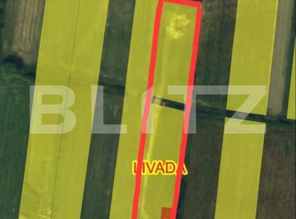 Spațiu industrial de vânzare Livada - 192786SVI | BLITZ Satu Mare | Poza10