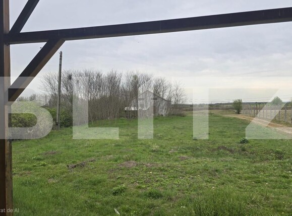 Spațiu industrial de vânzare Livada - 192786SVI | BLITZ Satu Mare | Poza4