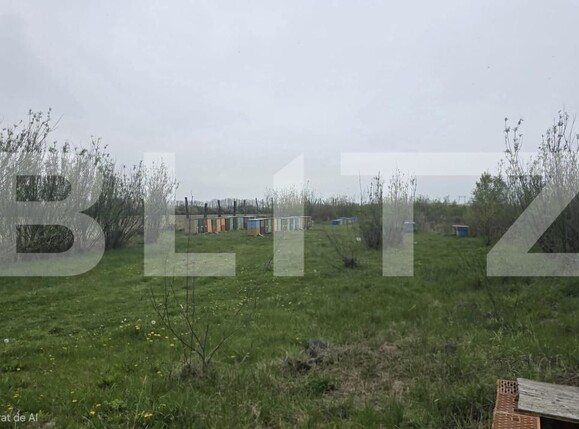 Spațiu industrial de vânzare Livada - 192786SVI | BLITZ Satu Mare | Poza4