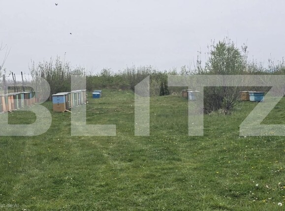 Spațiu industrial de vânzare Livada - 192786SVI | BLITZ Satu Mare | Poza7