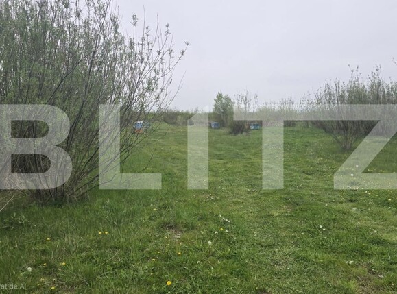 Spațiu industrial de vânzare Livada - 192786SVI | BLITZ Satu Mare | Poza8