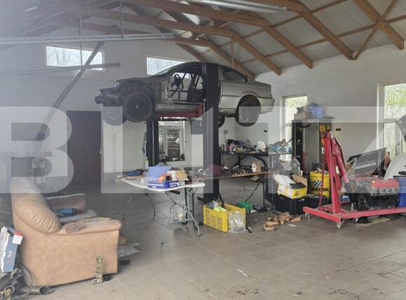 Spațiu industrial de vânzare Livada - 192786SVI | BLITZ Satu Mare | Poza6