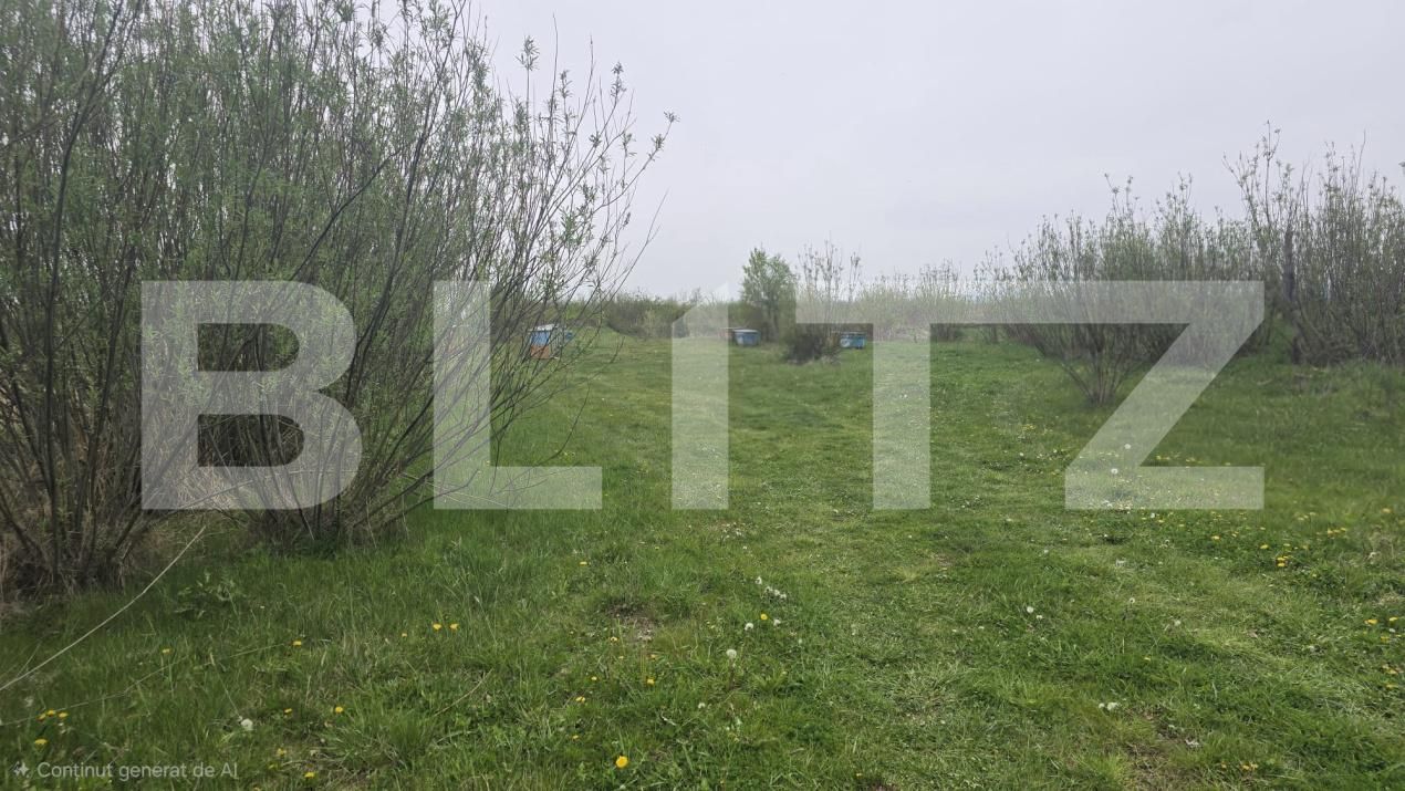 Spațiu industrial de vânzare Livada - 192786SVI | BLITZ Satu Mare | Poza3