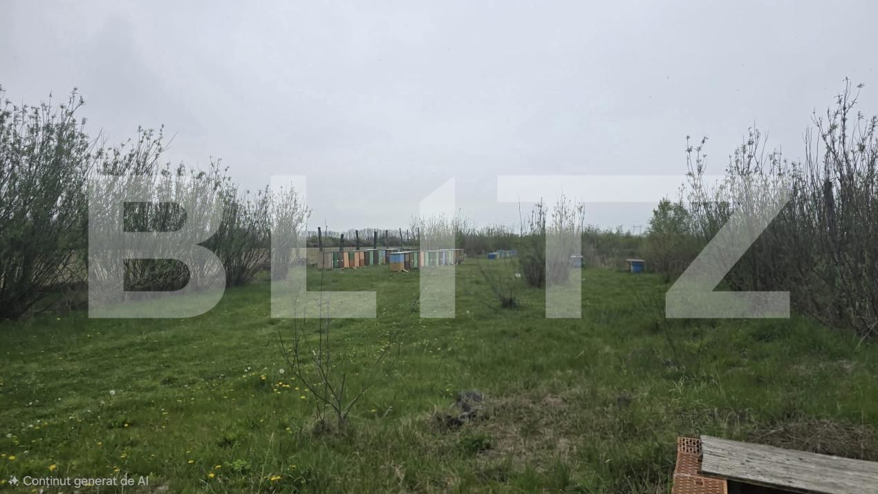 Spațiu industrial de vânzare Livada - 192786SVI | BLITZ Satu Mare | Poza9