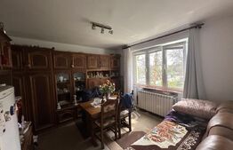 Apartament 3 camere decomandat, 48 mp, zona Botizului