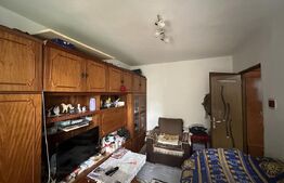 Apartament 3 camere decomandat, 48 mp, zona Botizului