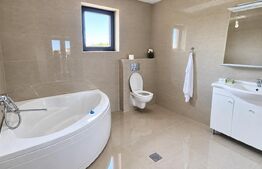 Casa cu 3 camere de inchiriat, 120 mp, teren 950 mp, Balta Blonda