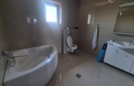 Casa cu 3 camere de inchiriat, 120 mp, teren 950 mp, Balta Blonda