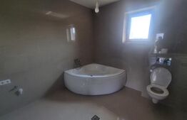 Casa cu 3 camere de inchiriat, 120 mp, teren 950 mp, Balta Blonda