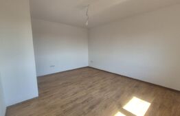 Casa cu 3 camere de inchiriat, 120 mp, teren 950 mp, Balta Blonda