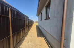 Casa cu 3 camere de inchiriat, 120 mp, teren 950 mp, Balta Blonda