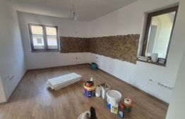 Casa 3 camere de vanzare, 120 mp, teren 950 mp, Balta Blonda