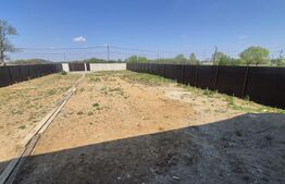 Casa 3 camere de vanzare, 120 mp, teren 950 mp, Balta Blonda