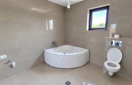 Casa cu 3 camere de vanzare, 120 mp, teren 950 mp, Balta Blonda