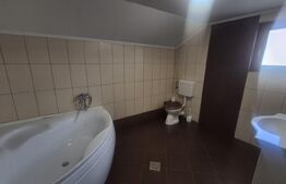 Casa 3 dormitoare de inchiriat, 236 mp, teren 525 mp, Semicentral