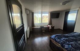 Casa 3 dormitoare de inchiriat, 236 mp, teren 525 mp, Semicentral