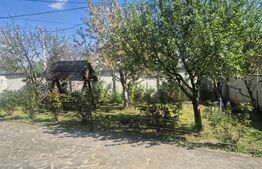 Casa 3 dormitoare de inchiriat, 236 mp, teren 525 mp, Semicentral