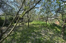 Teren intravilan, 250 mp, zona Bercu Roșu