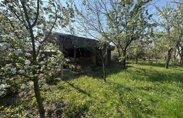 Teren intravilan, 250 mp, zona Bercu Roșu