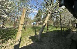 Teren intravilan, 250 mp, zona Bercu Roșu