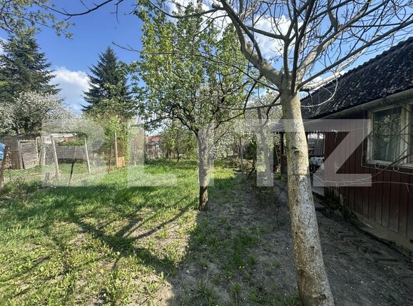 Teren de vânzare Bercu Rosu - 193049TV | BLITZ Satu Mare | Poza4