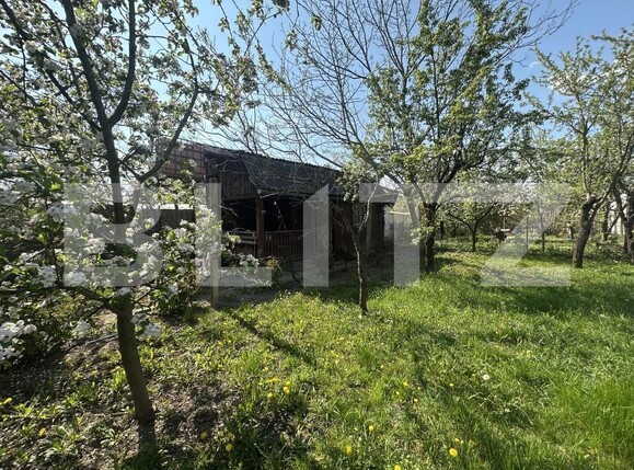 Teren de vânzare Bercu Rosu - 193049TV | BLITZ Satu Mare | Poza2