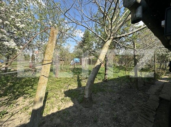 Teren de vânzare Bercu Rosu - 193049TV | BLITZ Satu Mare | Poza5