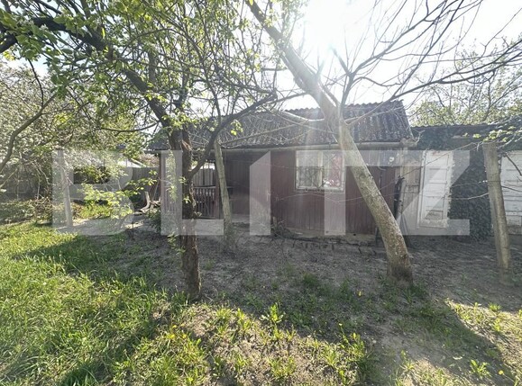 Teren de vânzare Bercu Rosu - 193049TV | BLITZ Satu Mare | Poza3