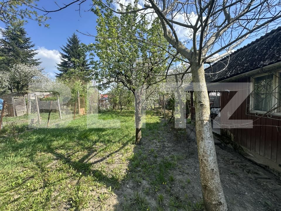 Teren de vânzare Bercu Rosu - 193049TV | BLITZ Satu Mare | Poza4