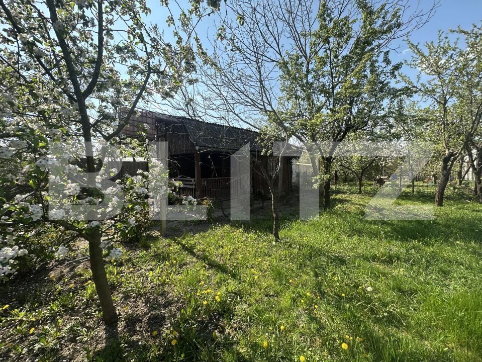 Teren de vânzare Bercu Rosu - 193049TV | BLITZ Satu Mare | Poza2