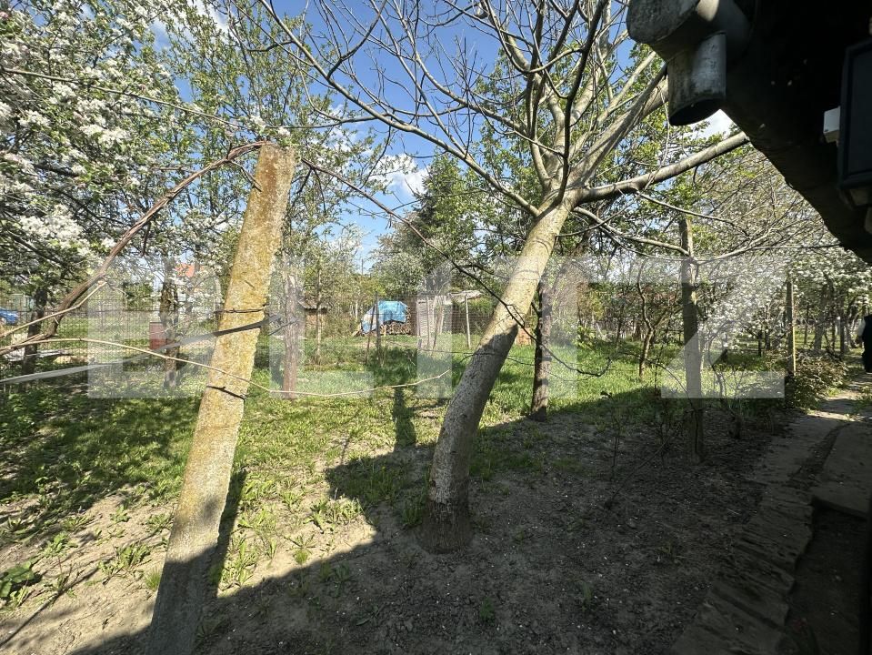 Teren de vânzare Bercu Rosu - 193049TV | BLITZ Satu Mare | Poza5