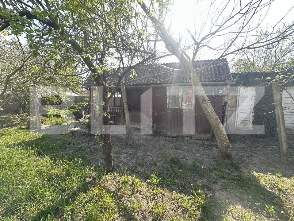 Teren de vânzare Bercu Rosu - 193049TV | BLITZ Satu Mare | Poza3