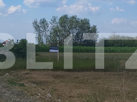 Teren de vânzare Cionchesti - 193257TV | BLITZ Satu Mare | Poza1