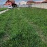 Teren de vânzare Vetiş - 193263TV - Poza 1 din 4 | BLITZ Satu Mare | Poza4