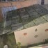 Teren de vânzare Ultracentral - 193264TV - Poza 1 din 7 | BLITZ Satu Mare | Poza1