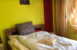 Apartament cu 2 camere de vanzare, 52.59 mp, in Municipiul Carei