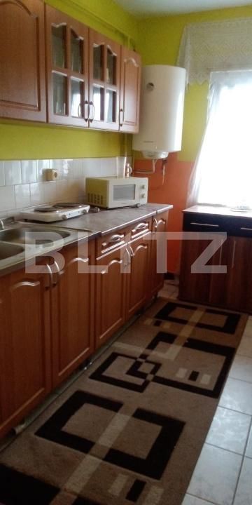 Apartament de vânzare 2 camere Carei - 193265AV | BLITZ Satu Mare | Poza10